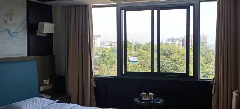 荣县香榭丽舌大酒店图片