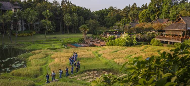 清迈四季度假酒店(Four Seasons Resort Chiang Mai)图片