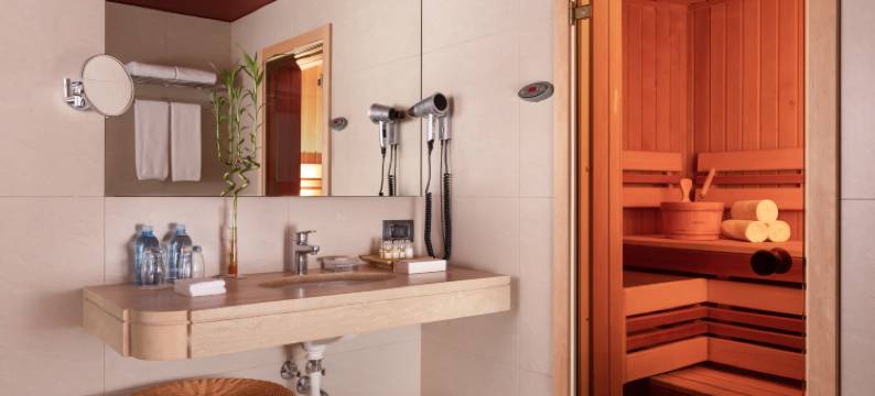 圣彼得堡多米纳(Domina St. Petersburg)图片