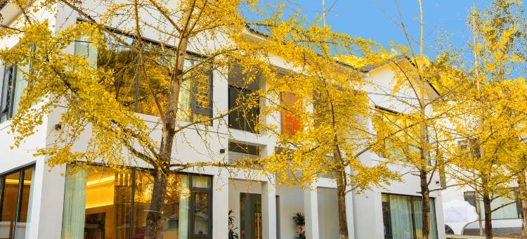 简居民宿(南雄帽子峰旅游景区黄金大道店)图片