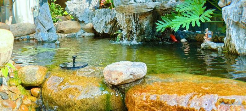 厦门彤昕情怀民宿图片