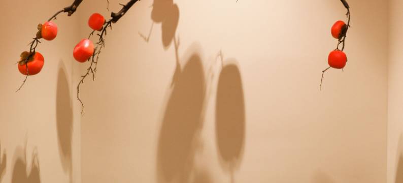 汉源贡嘎湖商务酒店图片