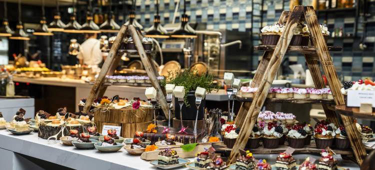 布拉格万豪酒店(Prague Marriott Hotel)图片