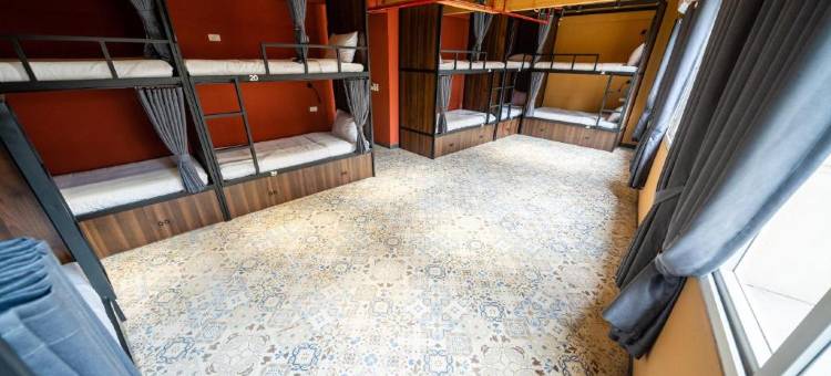 河内疯狂猴子旅舍(MAD Monkey Hanoi - Hostel)图片