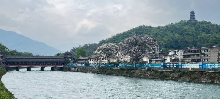舒程酒店(都江堰景区南桥店)图片