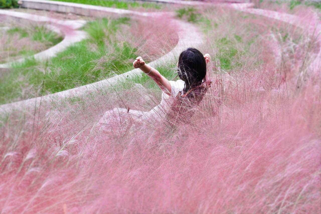 成都非遗博览园盛橡酒店图片