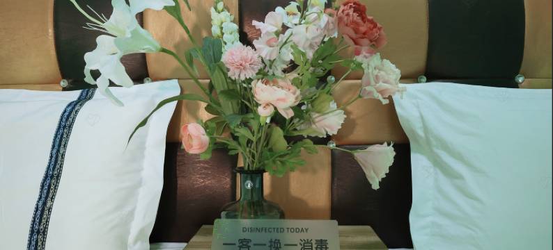 大连青柠宾馆(金州鸿玮澜山轻轨站店)图片