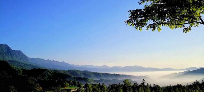 雅安逸仙居客栈图片