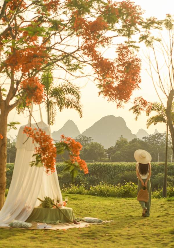 崇左在野宿集·万相度假Villa图片