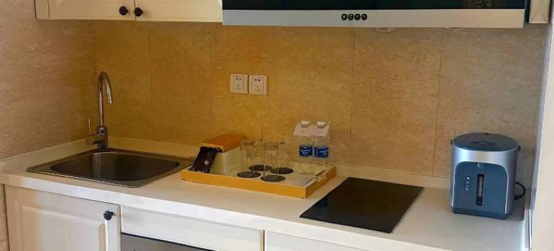 大连星海城堡豪华公寓图片