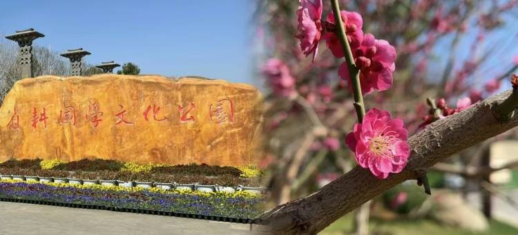 云居酒店(昭通合景广场店)图片