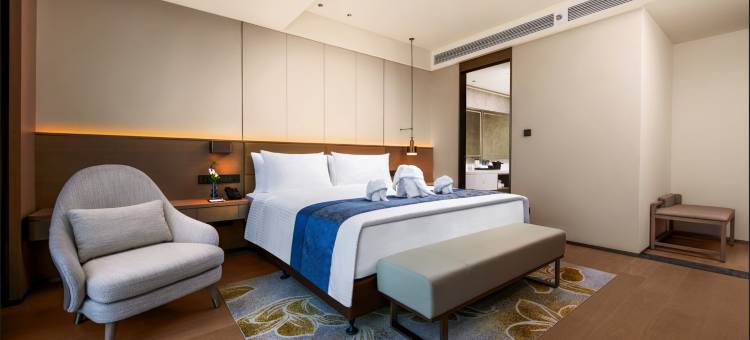 万象拉萨翁万达文华酒店(Latsavong Wanda Vista Vientiane)图片