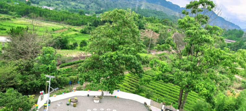 武夷山隐居客栈(景区南入口店)图片