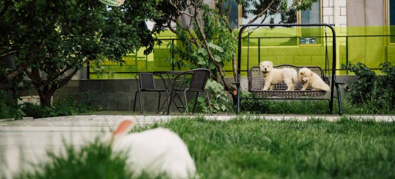 夕落·花间堂民宿图片