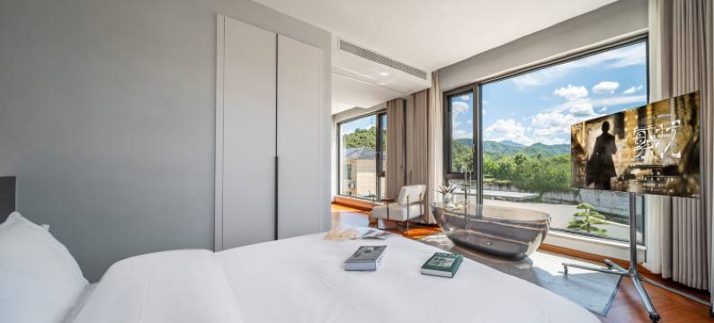 原一YUANYI·星空轰趴泳池·高奢Villa 民宿图片