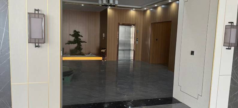 成武华悉酒店图片