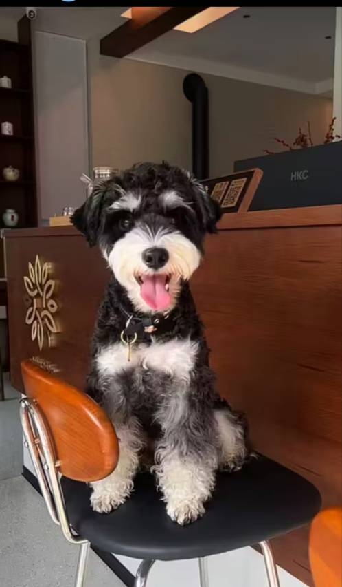 花筑·云初溪隐宋式美学高端设计师民宿(婺源篁岭风景区店)图片