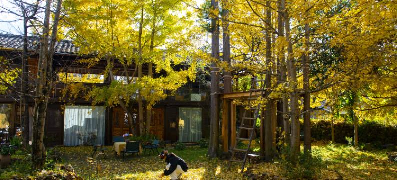 腾冲了凡精舍图片