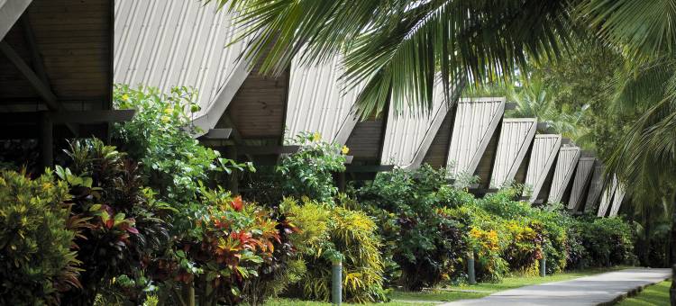 棕榈木屋(Palm Bungalows)图片
