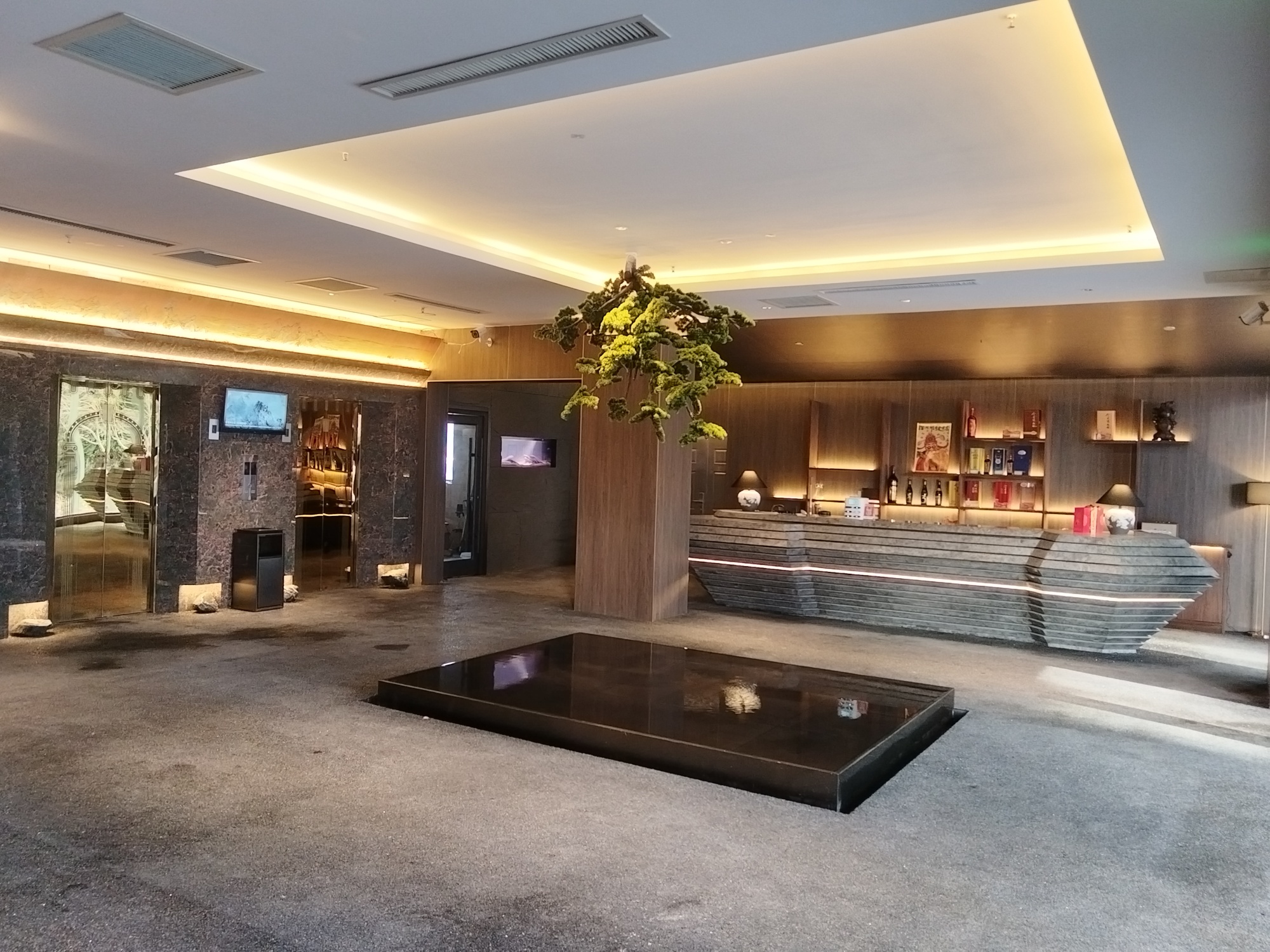 Manor Dorsett HotelOver view