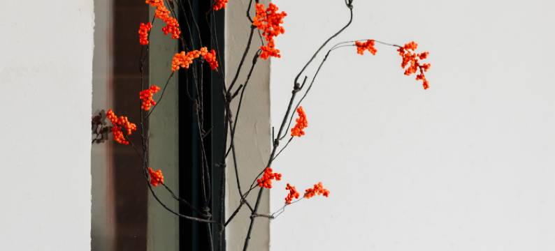 清远三坑云境温泉民宿图片