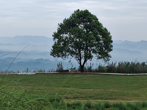 都江堰峨山大坪