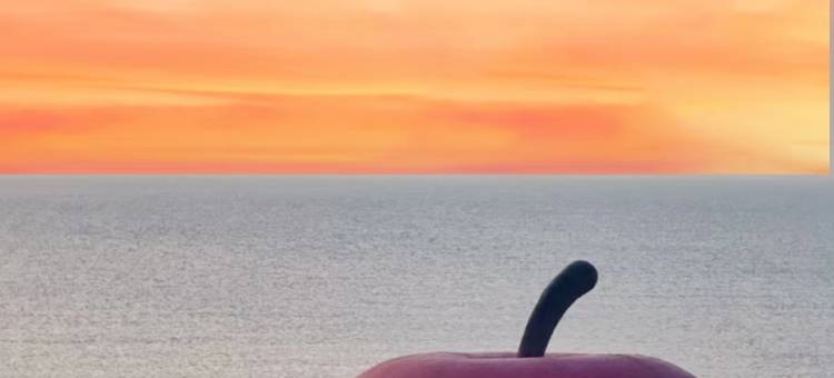 听海卿宿(黄金海岸孤独图书馆店)图片