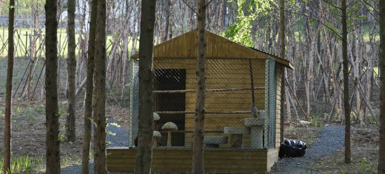 湖州十里芳菲香积岭村落图片