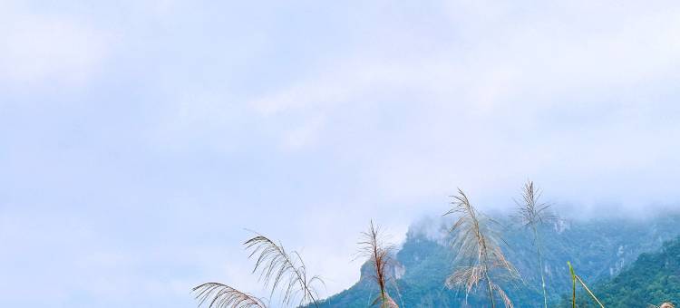 仙居云山雾舍民宿图片