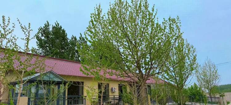 稻花飘香民宿图片