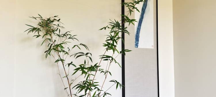 自在云舍民宿(大同古城东南邑店)图片