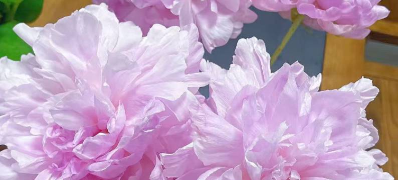 涵香居民宿(龙虎山风景区西门店)图片