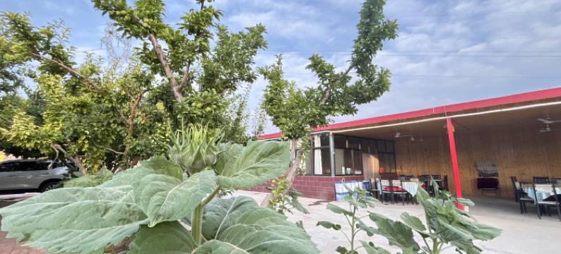 沙坡头如家庄园图片