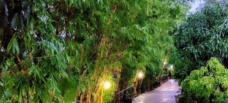 拉杰加德农场及农业旅游(Rajgad Farms & Agritourism)图片