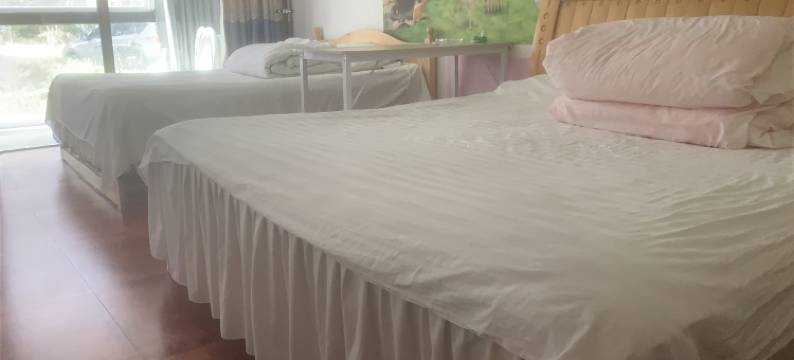 大棵菜旅店图片