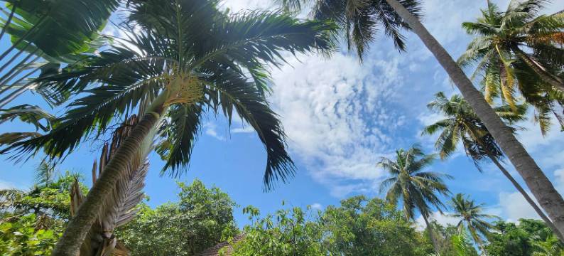 富国岛日出度假村(SUNRISE RESORT PHU QUOC)图片