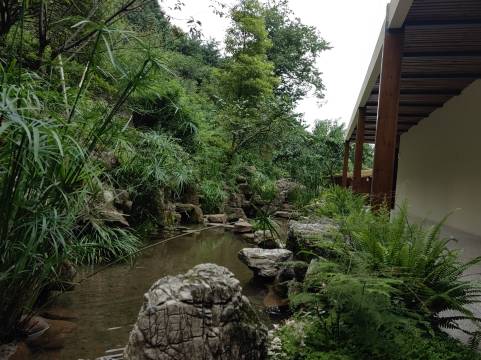 都江堰溪山草集民宿图片