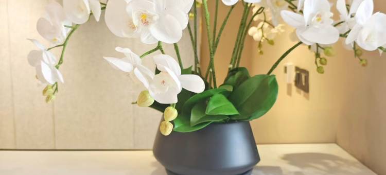 如家酒店(大庆新村科技路客运枢纽站店)图片