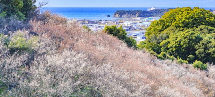 纪伊田边龟之井酒店(Kamenoi Hotel Kii-Tanabe)图片