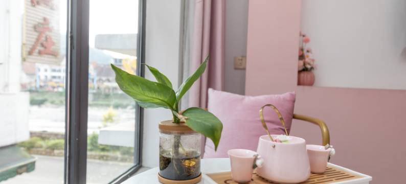 大邑子衿公寓图片