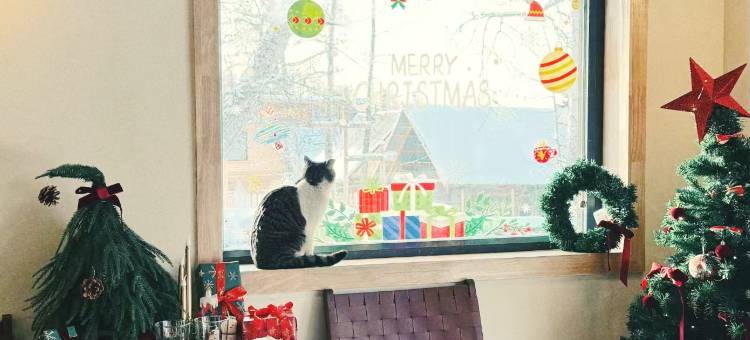 深山见•山野如许•自然美学花园庭院民宿(白哈巴老村店)图片