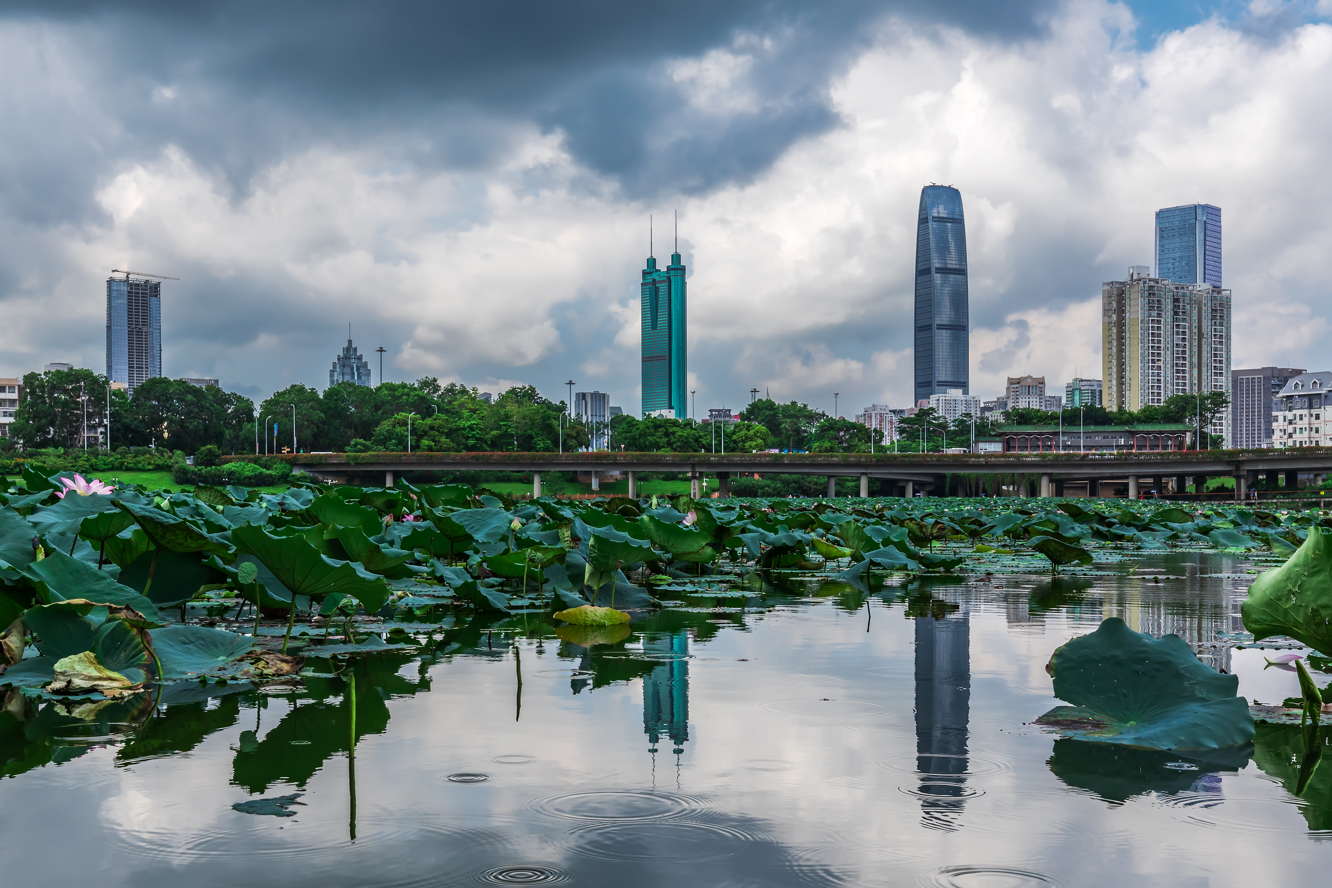 The St. Regis ShenzhenOver view