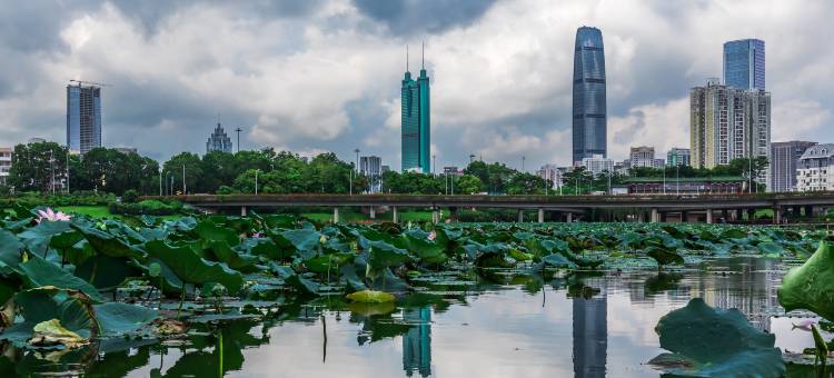 深圳瑞吉酒店图片