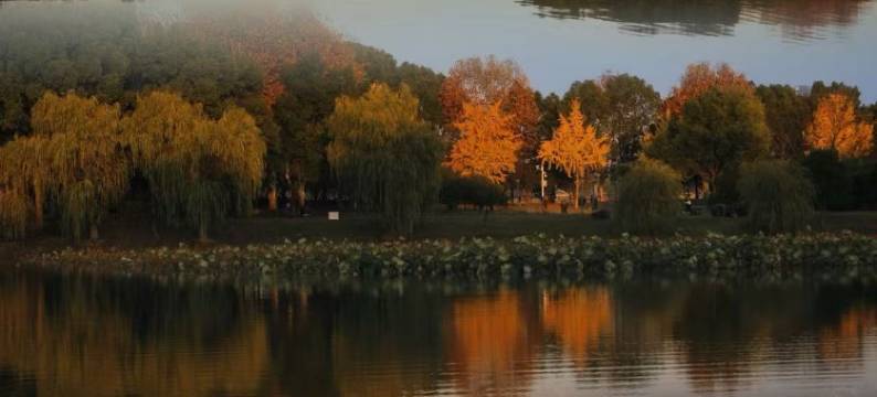 黄梅MUSE酒店(安庆高铁站店)图片