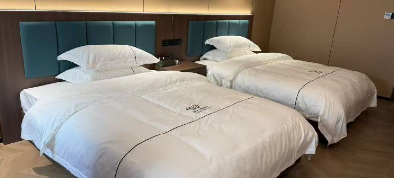 桑植豪廷主题酒店图片