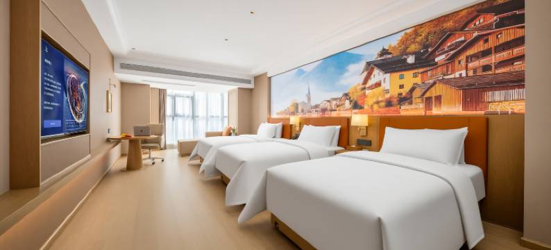 维也纳酒店(洛阳万达广场店)图片