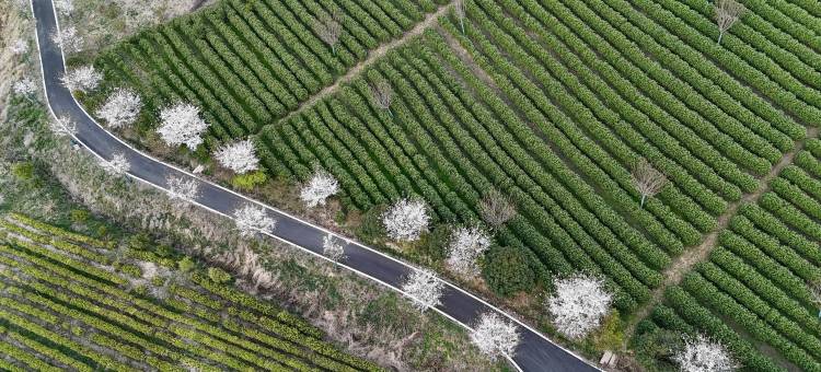 郎溪花涧民宿图片