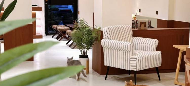 福瑞思Forest·海景酒店(国际海水浴场山东大学店)图片