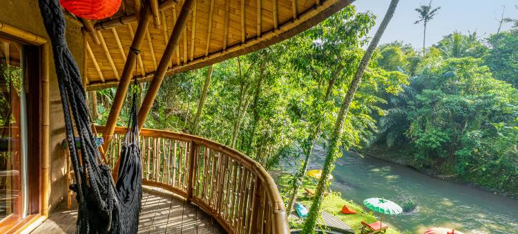 Bamboo Turtles Ecolodge图片