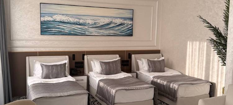 穆斯塔法酒店(Mustafa Hotel)图片